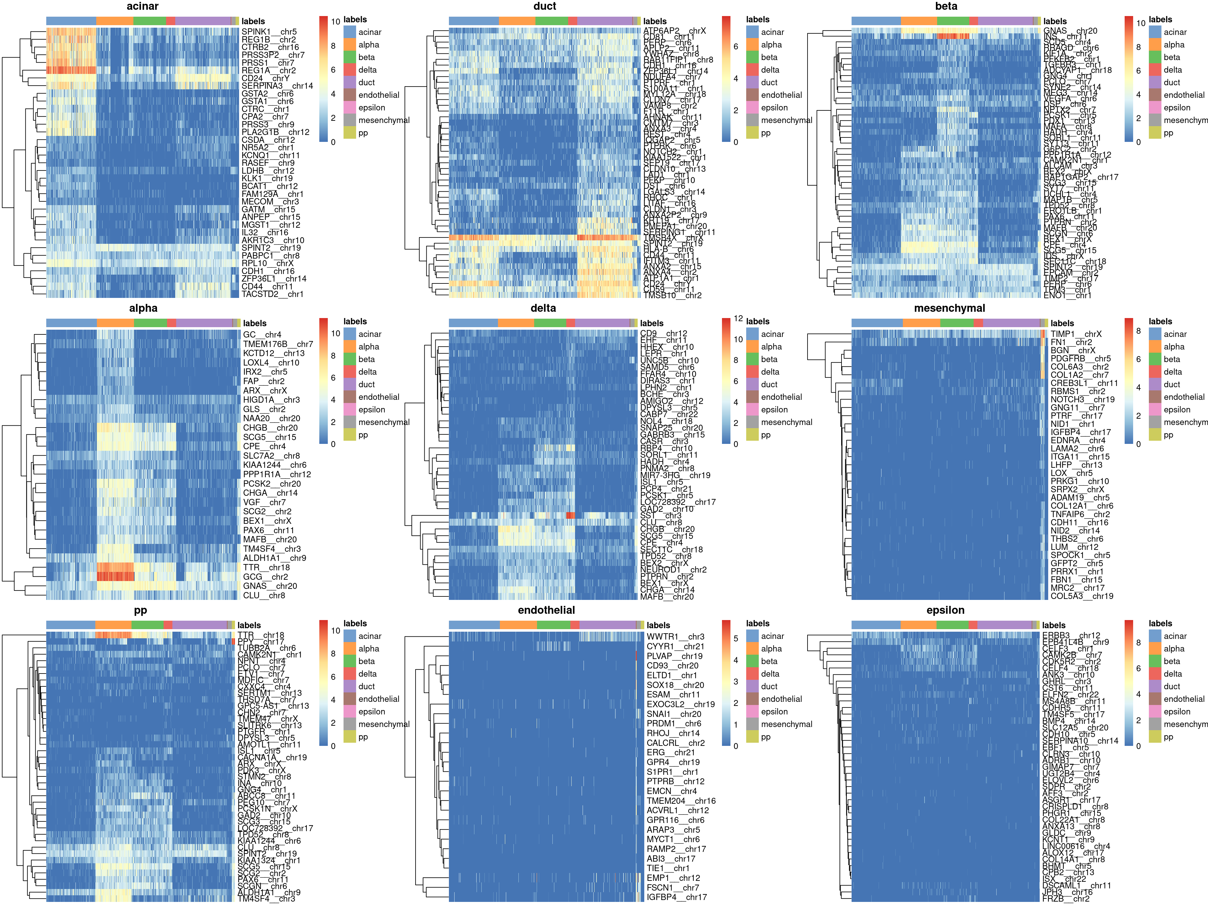 Heatmaps of log-expression values in the Grun dataset for all marker genes upregulated in each label in the Muraro reference dataset. Assigned labels for each cell are shown at the top of each plot.