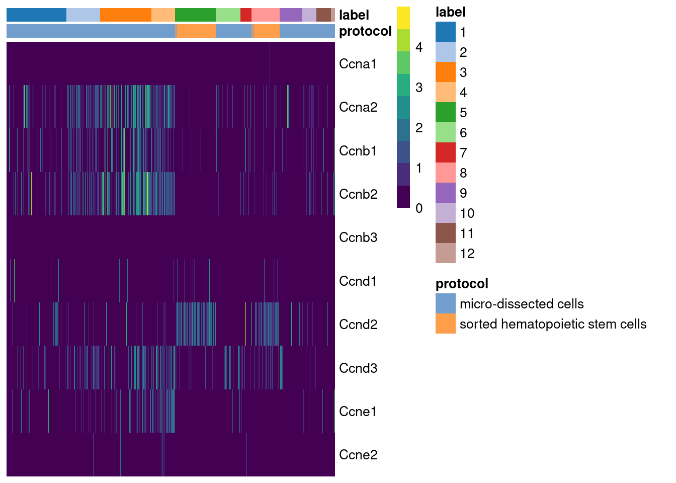 Heatmap of the log-normalized expression values of the cyclin genes in the Grun HSC dataset. Each column represents a cell that is sorted by the cluster of origin and extraction protocol.