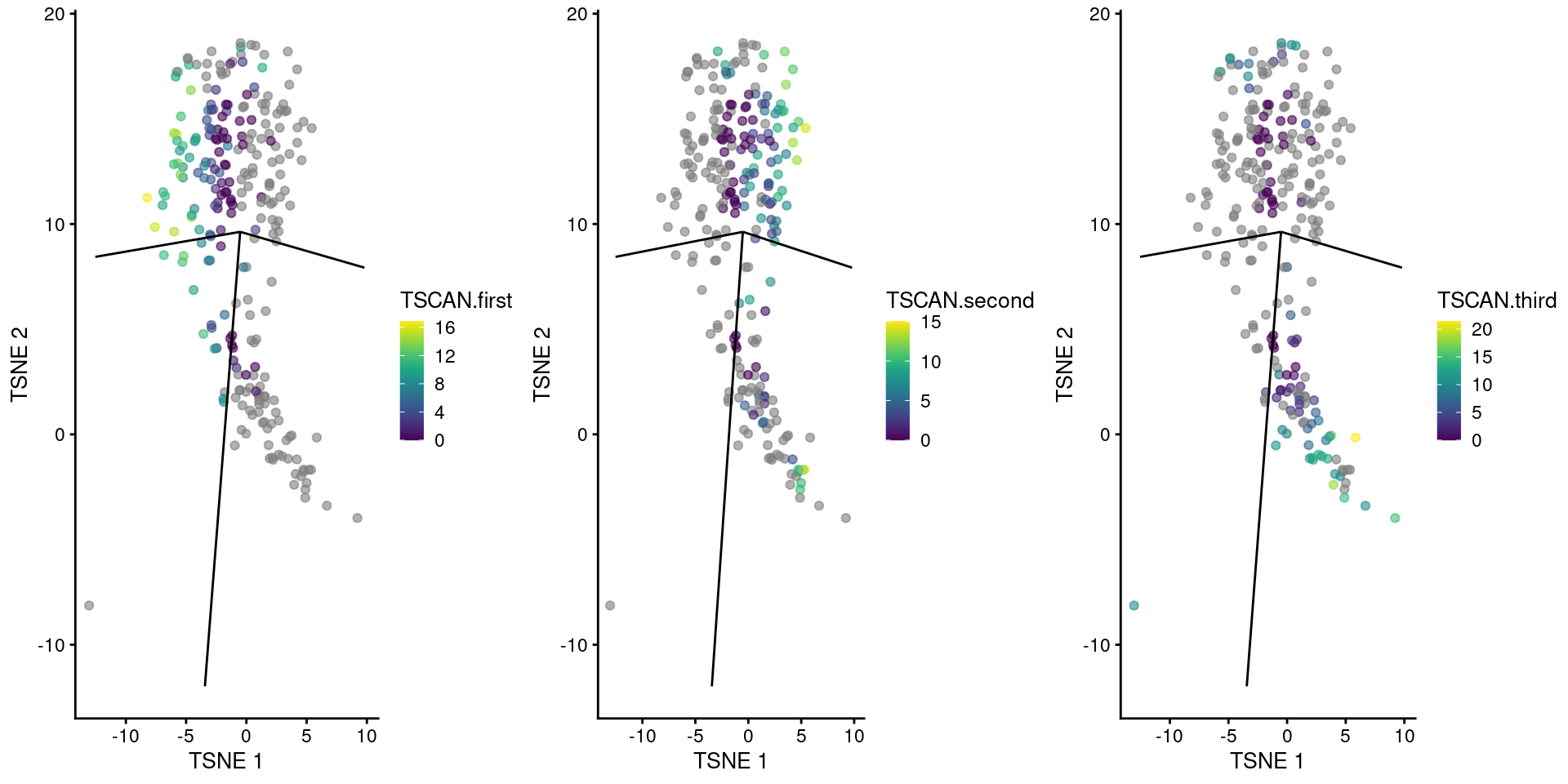 _TSCAN_-derived pseudotimes around cluster 3 in the Nestorowa HSC dataset. Each point is a cell in this cluster and is colored by its pseudotime value along the path to which it was assigned. The overlaid lines represent the relevant edges of the MST.