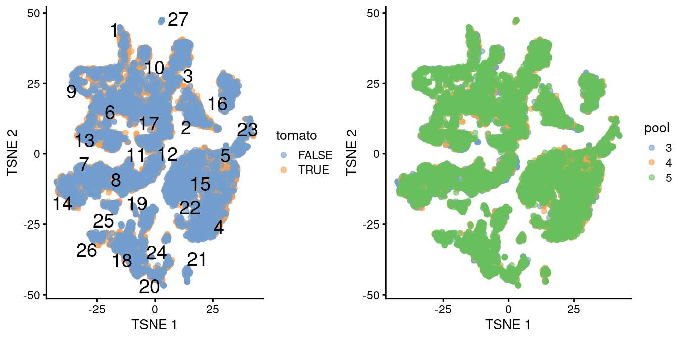 $t$-SNE plot of the WT chimeric dataset, where each point represents a cell and is colored according to td-Tomato expression (left) or batch of origin (right). Cluster numbers are superimposed based on the median coordinate of cells assigned to that cluster.